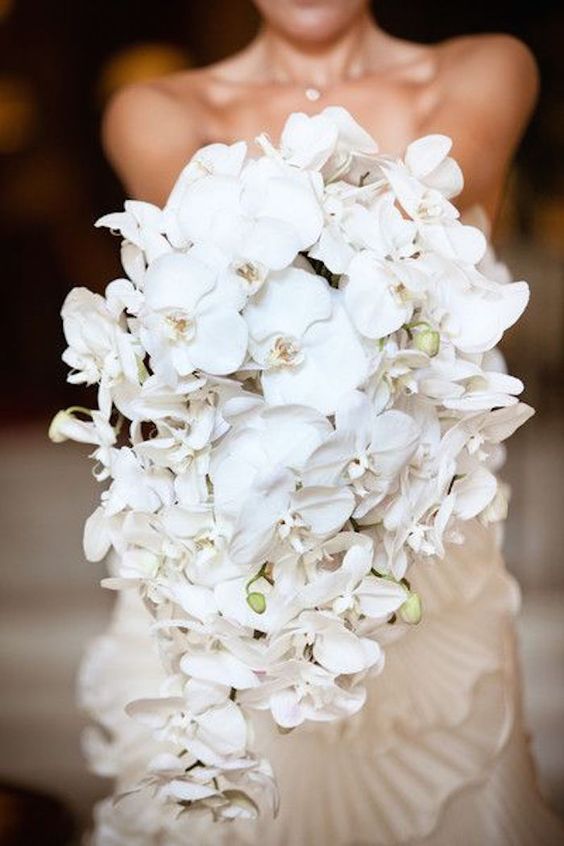 Flores ideales para bodas de invierno | Nupcias & Bodas