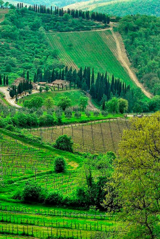 Tuscany chianti wine 