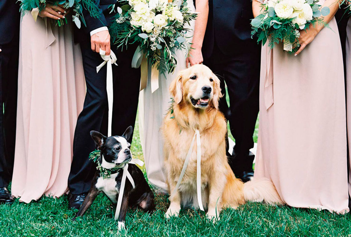Cómo incluir a tus mascotas en la boda