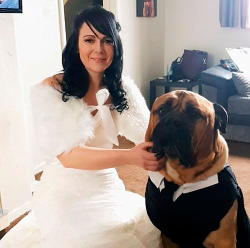Pareja adelanta su boda para que su perrito con cáncer pueda asistir