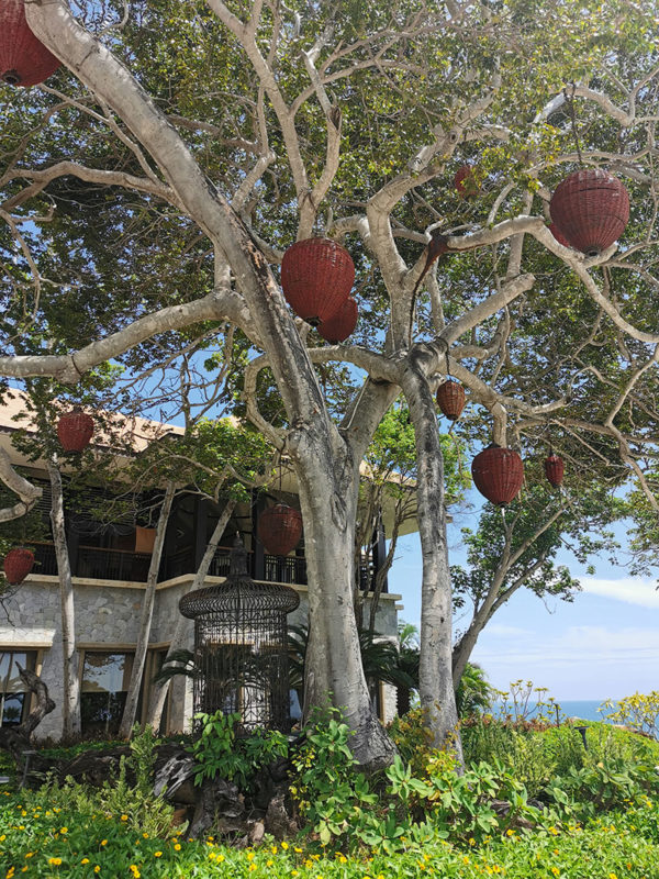 Banyan Tree Cabo Marqués